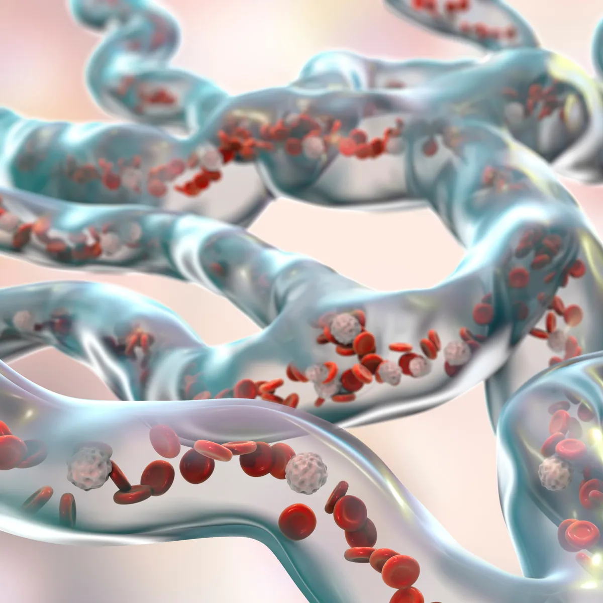 About Our Peptide Treatments